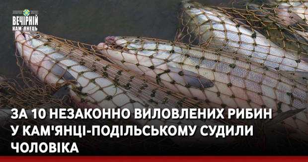 За 10 незаконно виловлених рибин у Кам'янці-Подільському судили чоловіка