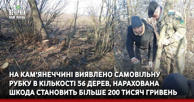 На Кам'янеччині виявлено самовільну рубку в кількості 56 дерев, нарахована шкода становить більше 200 тисяч гривень