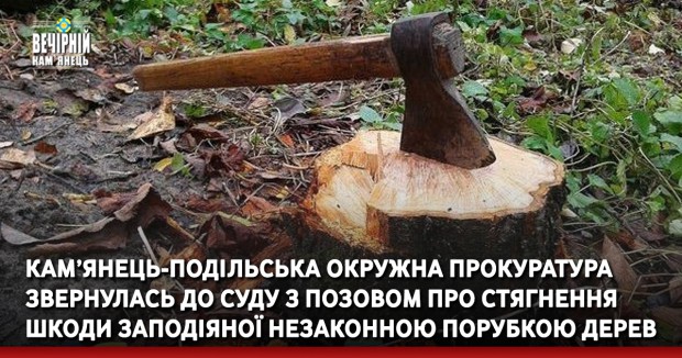 Кам’янець-Подільська окружна прокуратура звернулась до суду з позовом про стягнення шкоди заподіяної незаконною порубкою дерев 