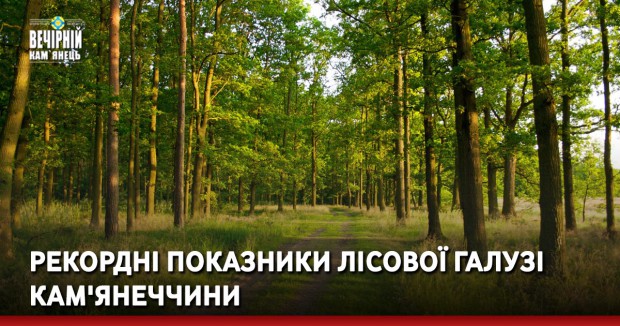 Рекордні показники лісової галузі Кам'янеччини