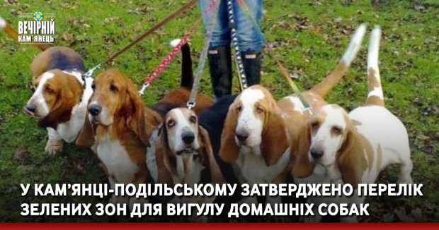 У Кам’янці-Подільському затверджено перелік зелених зон для вигулу домашніх собак
