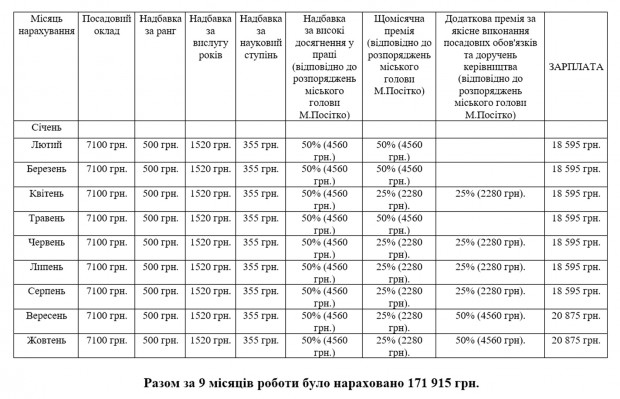 Детальна таблиця зарплатні депутата Ірини Шелепницької.