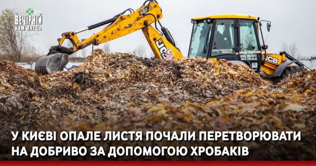 У Києві опале листя почали перетворювати на добриво за допомогою хробаків