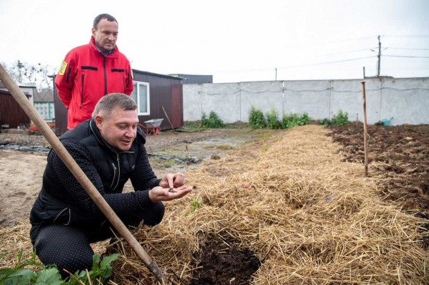 У Києві опале листя почали перетворювати на добриво за допомогою хробаків