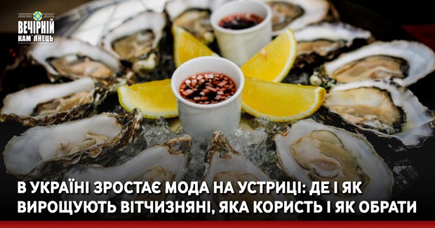 В Україні зростає мода на устриці: де і як вирощують вітчизняні, яка користь і як обрати