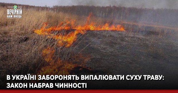 В Україні заборонять випалювати суху траву: закон набрав чинності