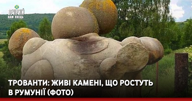  Трованти: живі камені, що ростуть в Румунії