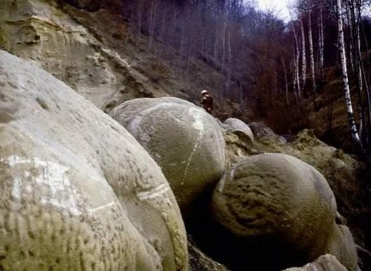 Трованти: живі камені, що ростуть в Румунії