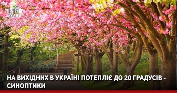 На вихідних в Україні потепліє до 20 градусів - синоптики