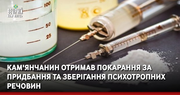 Кам'янчанин отримав покарання за придбання та зберігання психотропних речовин 