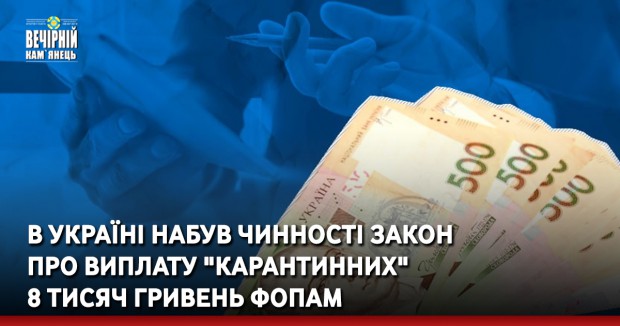 В Україні набув чинності закон про виплату "карантинних" 8 тисяч гривень ФОПам