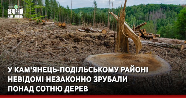 У Кам'янець-Подільському районі невідомі незаконно зрубали понад сотню дерев 