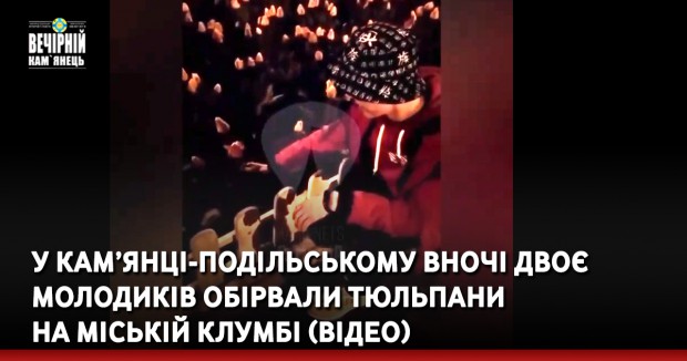 У Кам’янці-Подільському вночі двоє молодиків обірвали тюльпани на міській клумбі
