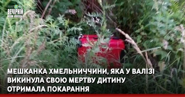 Мешканка Хмельниччини, яка у валізі викинула свою мертву дитину отримала покарання