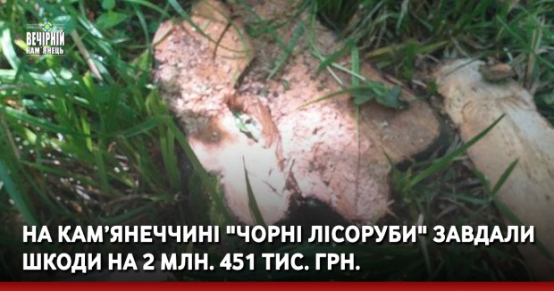 На Кам’янеччині "чорні лісоруби" завдали шкоди на 2 млн. 451 тис. грн.