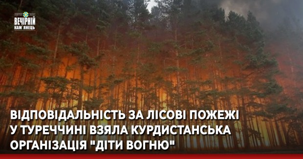 Відповідальність за лісові пожежі у Туреччині взяла курдистанська організація "Діти вогню"