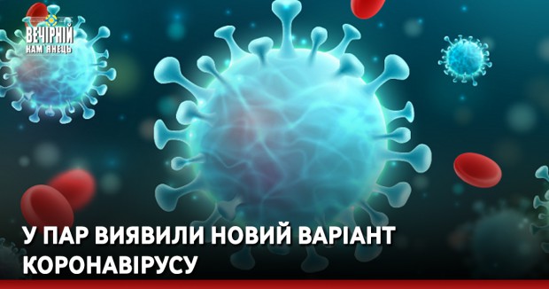 У ПАР виявили новий варіант коронавірусу