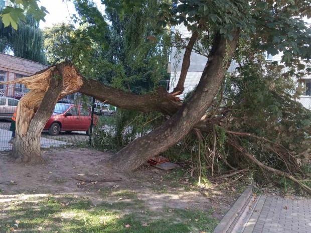 “Занепад міста під димовою завісою брехні”, – М.Посітко
