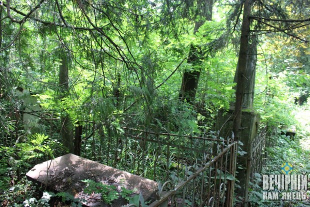 Дерева руйнують поховання / Руське кладовище