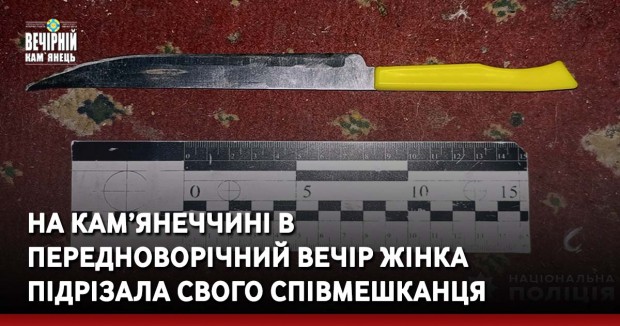 На Кам’янеччині в передноворічний вечір жінка підрізала свого співмешканця