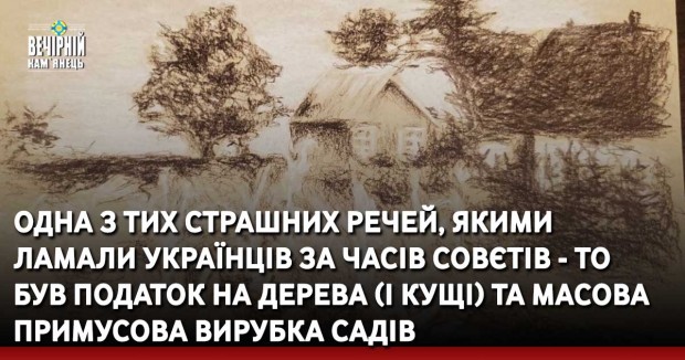Одна з тих страшних речей, якими ламали українців за часів совєтів - то був податок на дерева (і кущі) та масова примусова вирубка садів