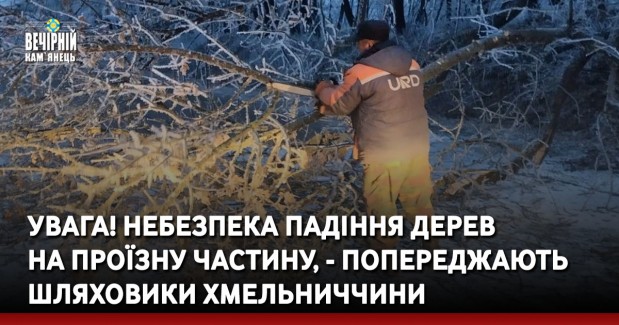 Увага! Небезпека падіння дерев  на проїзну частину, - попереджають шляховики Хмельниччини
