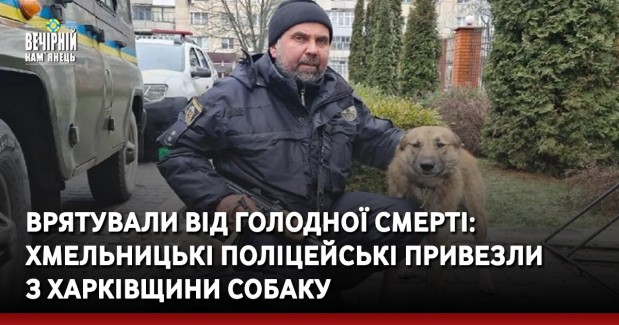 Врятували від голодної смерті: хмельницькі поліцейські привезли з Харківщини собаку