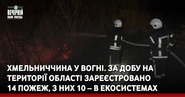 Хмельниччина у вогні. За добу на території області зареєстровано 14 пожеж, з них 10 – в екосистемах