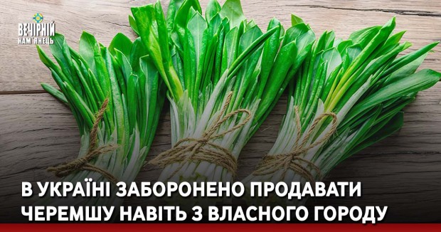 Продавцям черемші загрожує штраф від 1700 до 3650 грн незалежно від того, чи продають вони лісову зелень, чи вирощену на власних грядках