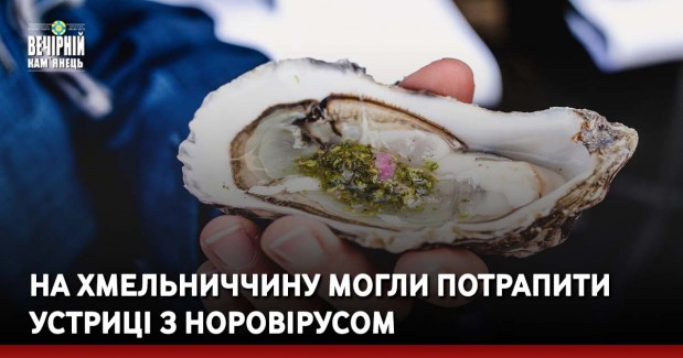 На Хмельниччину могли потрапити устриці з норовірусом