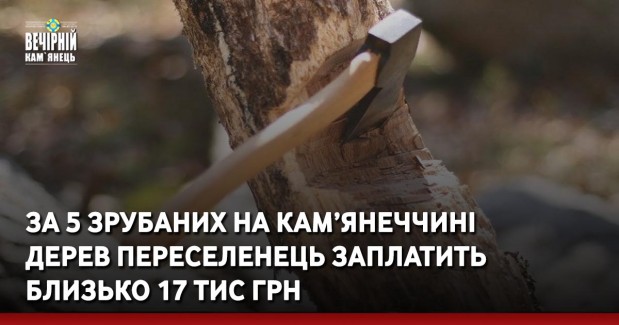 За 5 зрубаних на Кам’янеччині дерев переселенець заплатить близько 17 тис грн