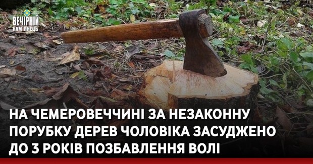 На Чемеровеччині за незаконну порубку дерев чоловіка засуджено до 3 років позбавлення волі