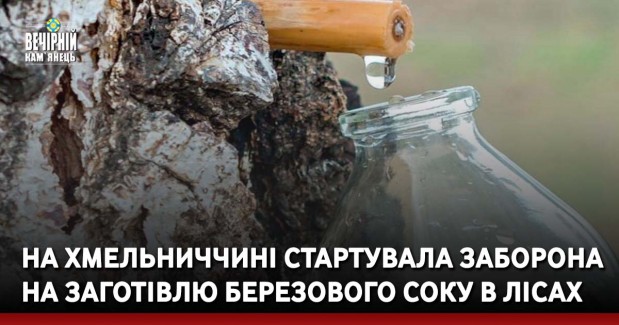 На Хмельниччині стартувала заборона на заготівлю березового соку в лісах
