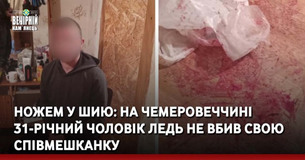 Ножем у шию: на Чемеровеччині 31-річний чоловік ледь не вбив свою співмешканку