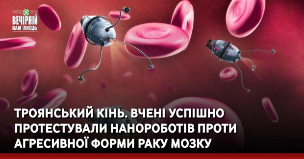 Троянський кінь. Вчені успішно протестували нанороботів проти агресивної форми раку мозку