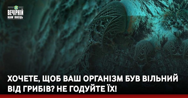 Хочете, щоб ваш організм був вільний від грибів? Не годуйте їх!