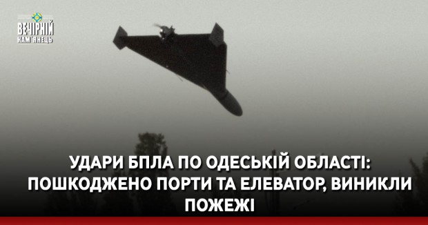 Удари БПЛА по Одеській області: пошкоджено порти та елеватор, виникли пожежі