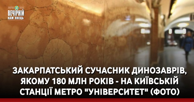 Погрожував відрізати голову і спалити майно: засуджено рекетира з Хмельницького