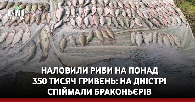 Наловили риби на понад 350 тисяч гривень: на Дністрі спіймали браконьєрів