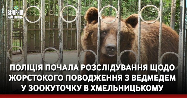 Поліція почала розслідування щодо жорстокого поводження з ведмедем у зоокуточку в Хмельницькому