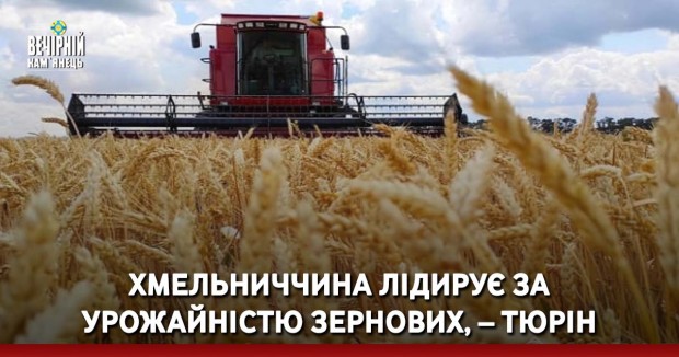 Майже 13,5 тисяч посвідчень водія обміняли українці за кордоном цього року