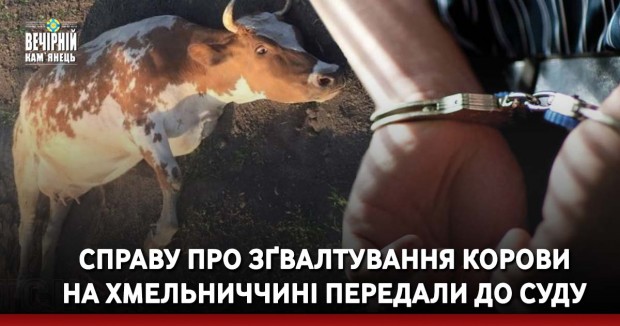 Справу про зґвалтування корови на Хмельниччині передали до суду