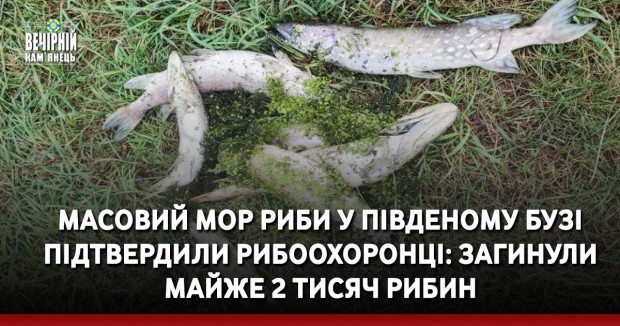 Міністр оборони Німеччини Борис Пісторіус пообіцяв постачання більшої кількості танків