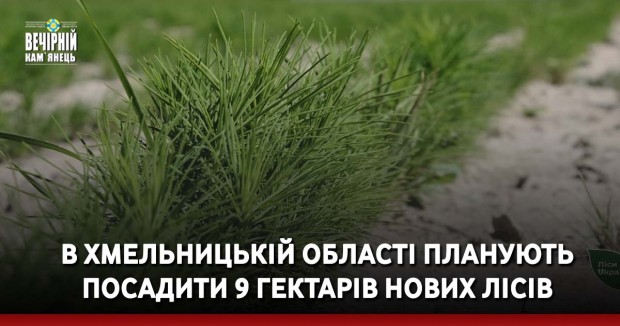 США заблокували продаж HIMARS для Угорщини