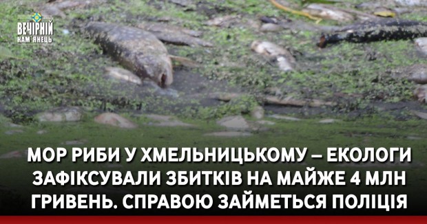 Мор риби у Хмельницькому – екологи зафіксували збитків на майже 4 млн гривень. Справою займеться поліція