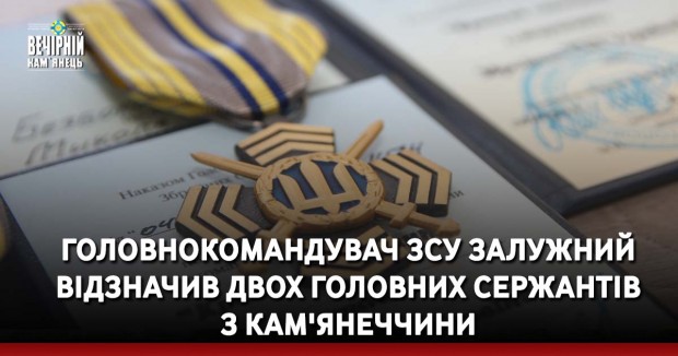 Головнокомандувач ЗСУ Залужний відзначив двох головних сержантів з Кам'янеччини