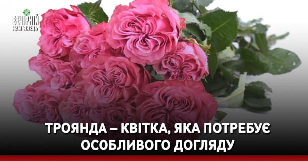 У ДСНС розповіли деталі пожежі в хмельницькому ресторані (ВІДЕО)
