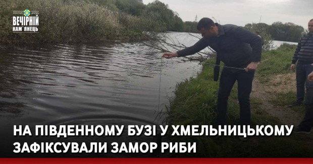 На Південному Бузі у Хмельницькому зафіксували замор риби
