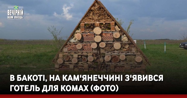 В Бакоті, на Кам'янеччині з'явився готель для комах (ФОТО)