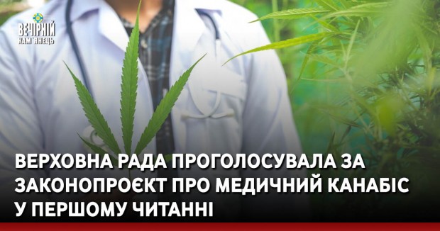 Верховна Рада проголосувала за законопроєкт про медичний канабіс у першому читанні